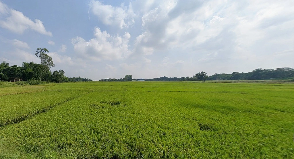 Mandar, Jharkhand 835214, India