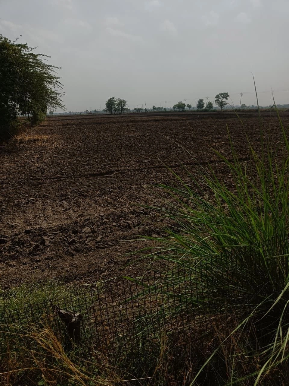 W324+HFJ, Panna, Rajasthan 345028, India