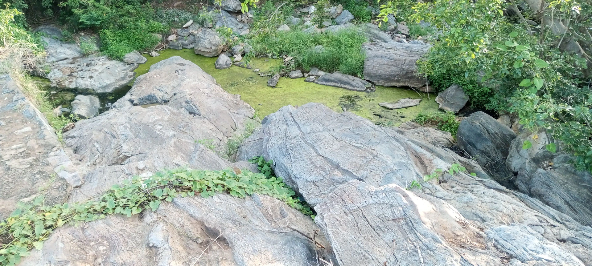 Doddaubbanur, Tamil Nadu 635118, India