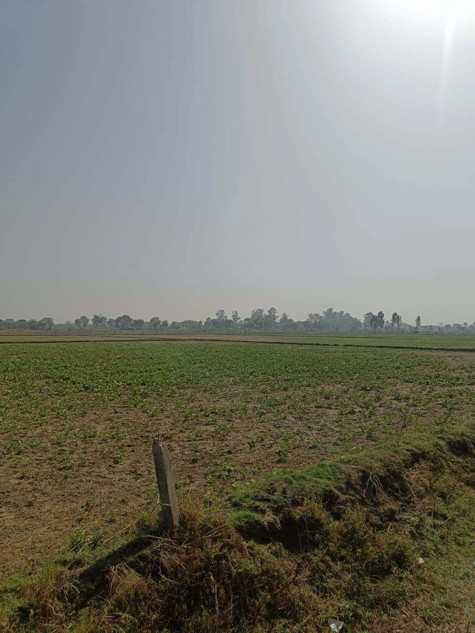 Ajhai Kalan, Uttar Pradesh 281406, India