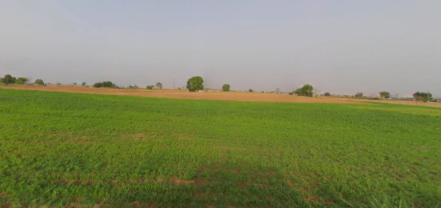 Ranika Singhola, Haryana 122103, India