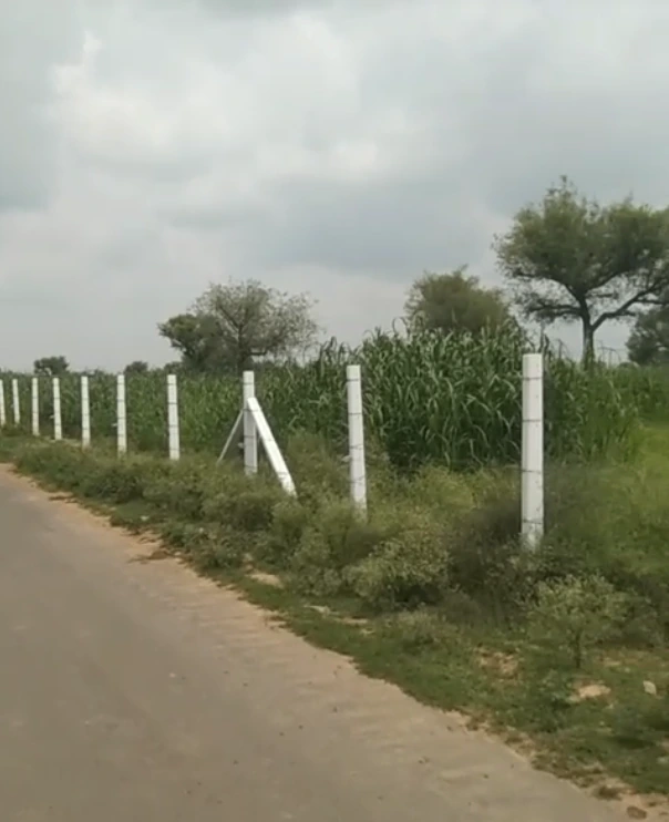 Jurathra, Sikar, Rajasthan 332402, India