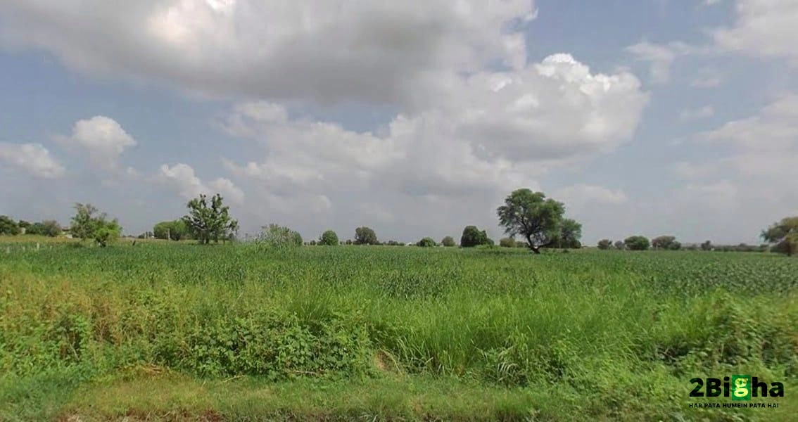 RV3M+9H6, Karolan Ka Barh, Jaipur, Rajasthan 302017, India