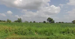 RV3M+9H6, Karolan Ka Barh, Jaipur, Rajasthan 302017, India preview 3