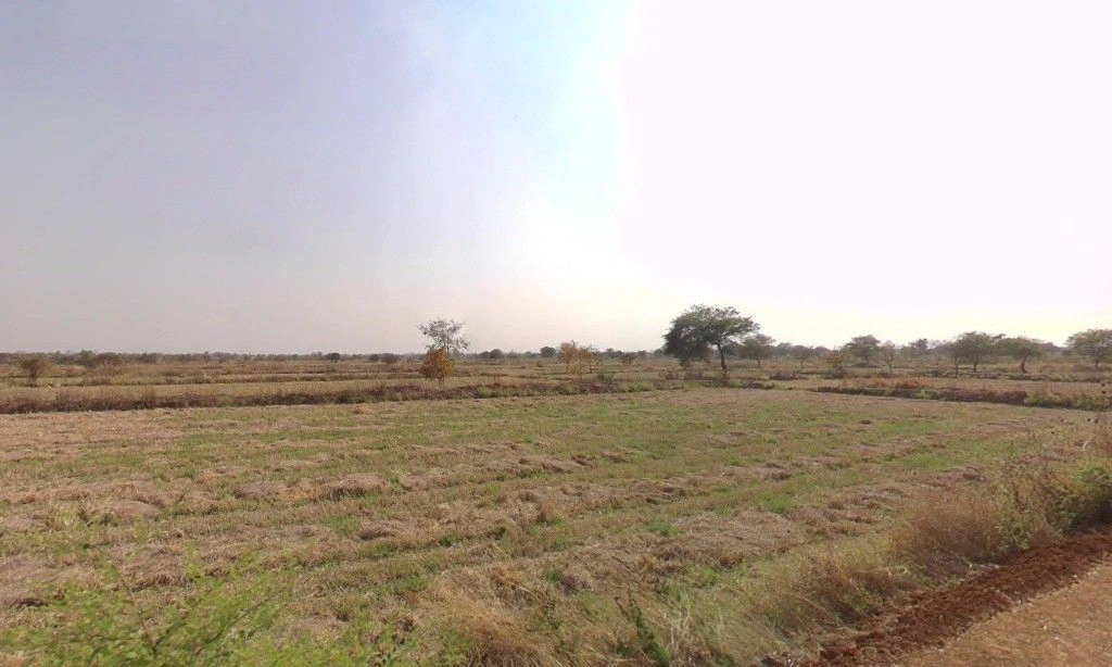 Chicholi, Chhattisgarh 493116, India preview 3