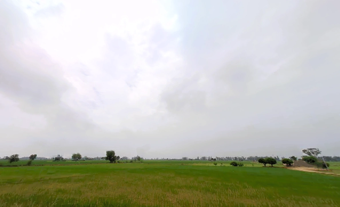 Narwana, Haryana 126116, India