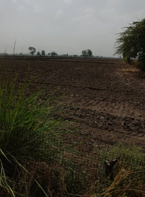 Barnagar, Madhya Pradesh 456771, India