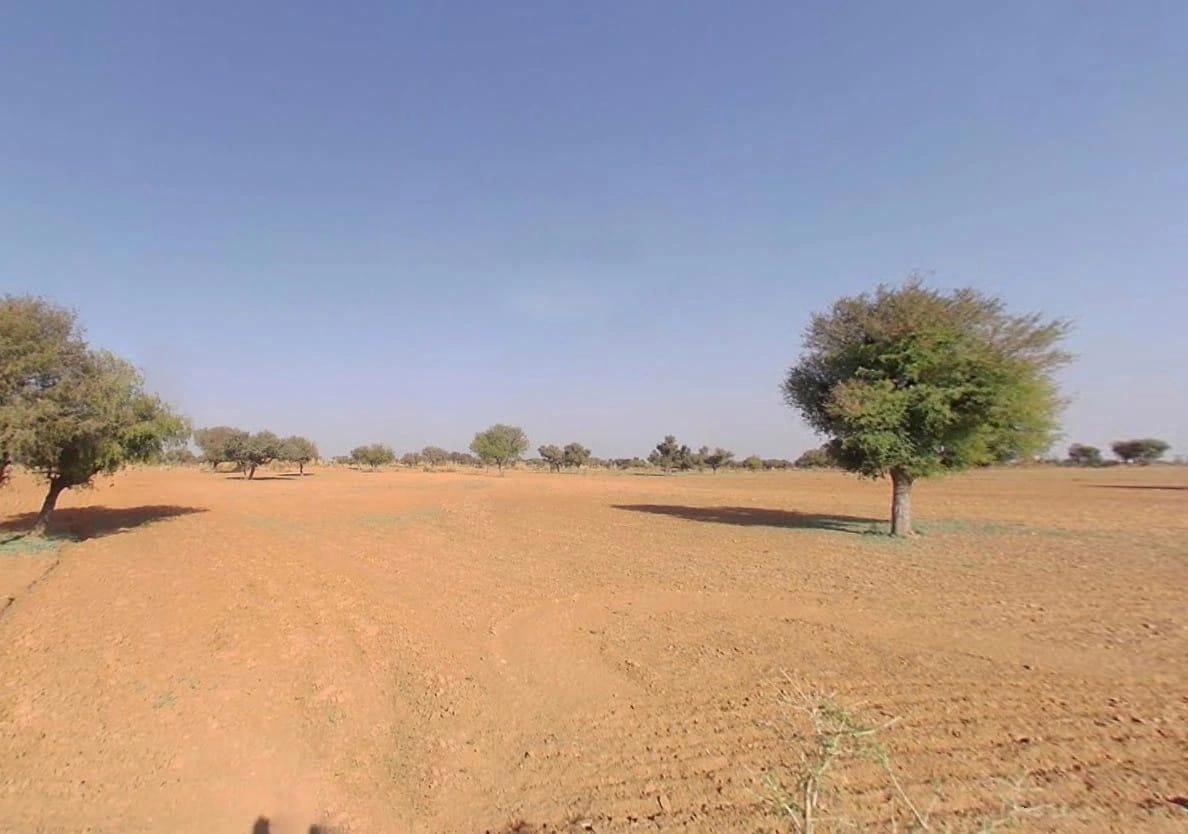 6WM3+JVW, Piperan, Rajasthan 335804, India preview 3