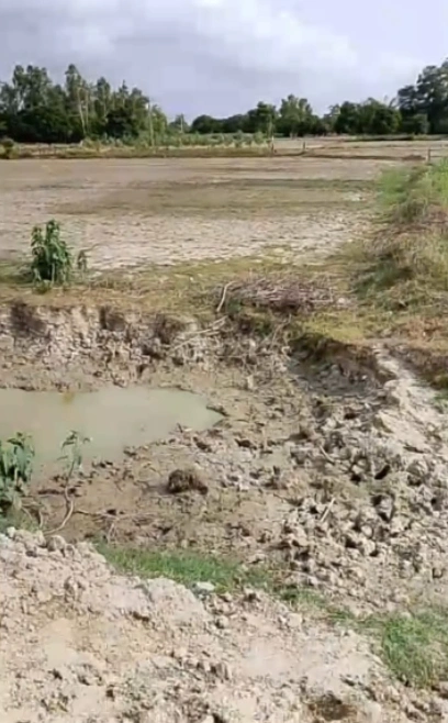 RFGF+JM7, Miyanganj, Kanigaon, Uttar Pradesh 209870, India