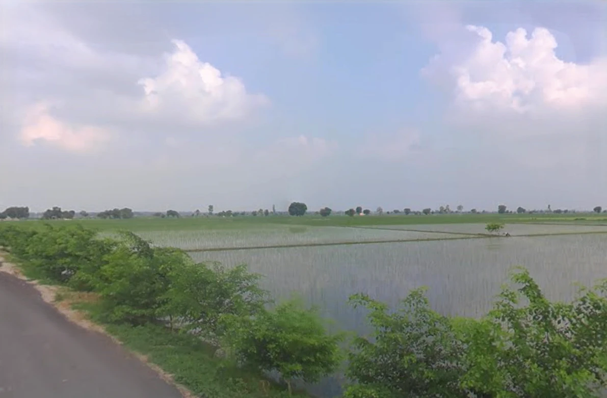 Muana, Haryana 126112, India