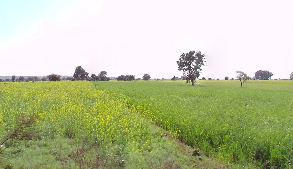 Bilgaon, Madhya Pradesh 481990, India preview 3