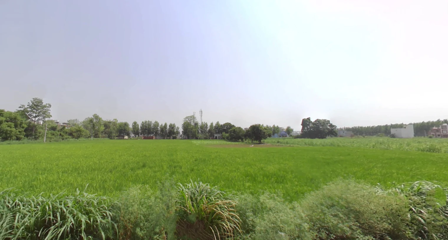 X9Q5+MF, Rudrapur, Uttarakhand 263153, India