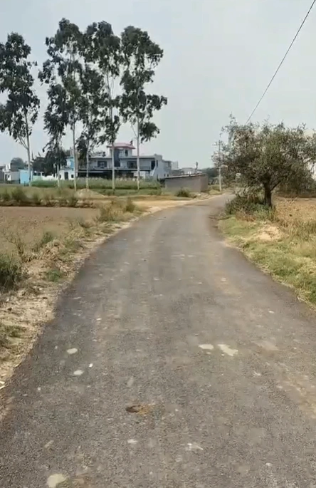 Kathwala, Yamunanagar, Haryana 135003, India