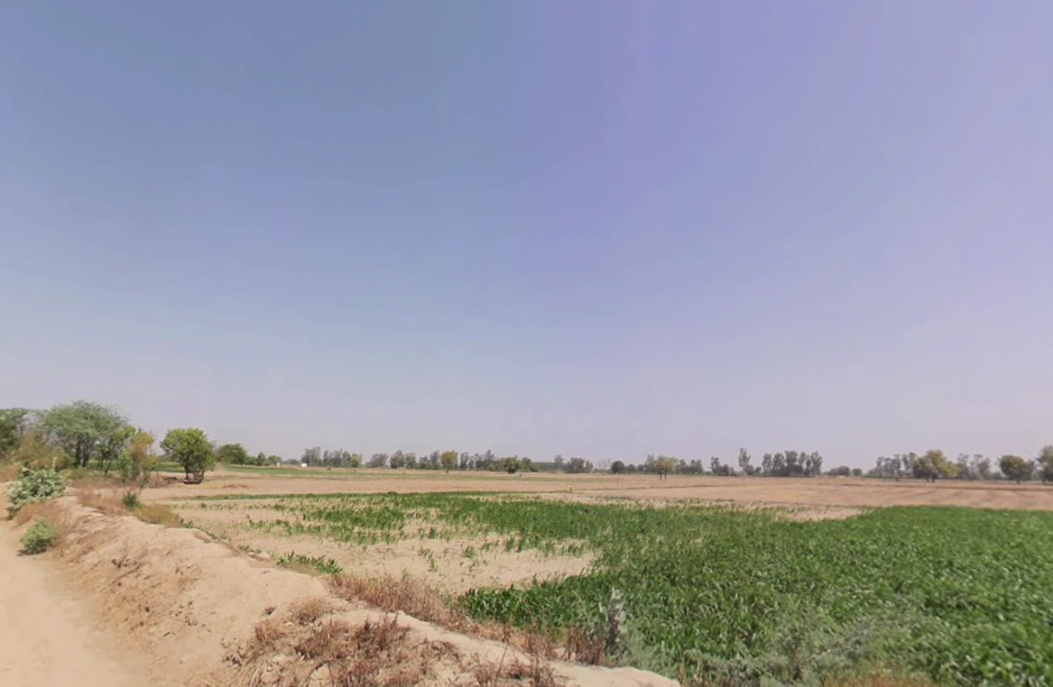 Bass, Haryana 125042, India