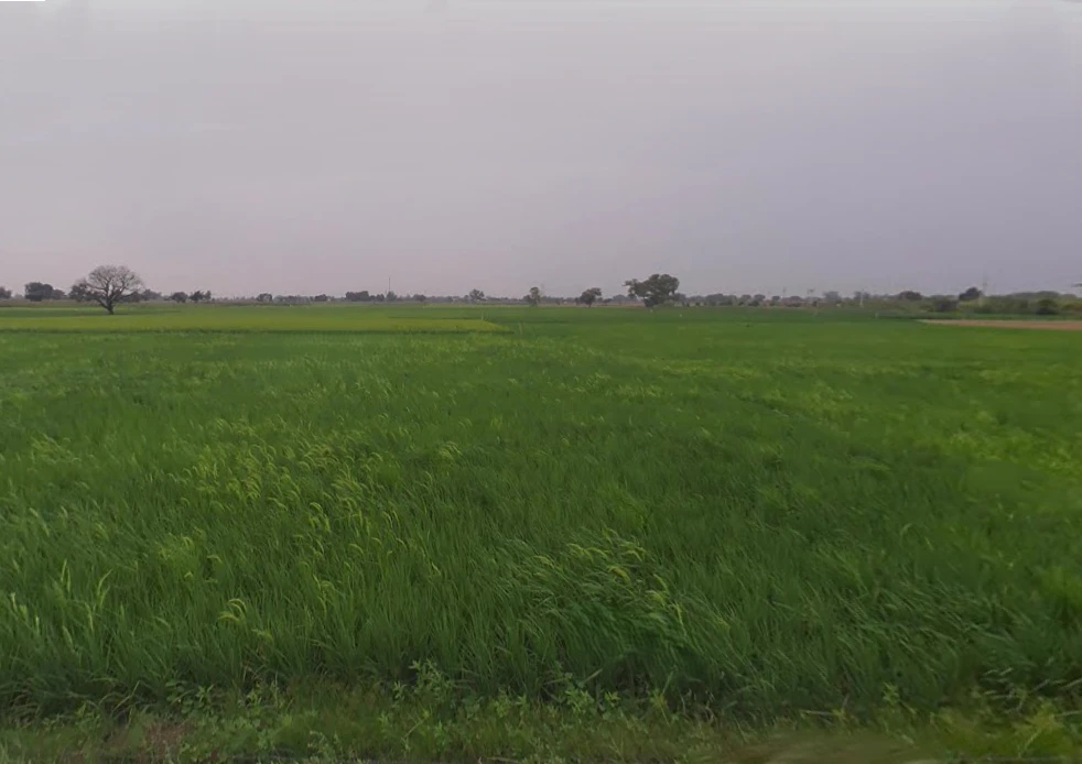 Mant, Uttar Pradesh 281202, India