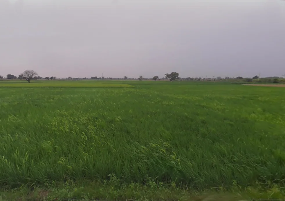 Mant, Uttar Pradesh 281202, India preview 3