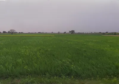 Mant, Uttar Pradesh 281202, India preview 3