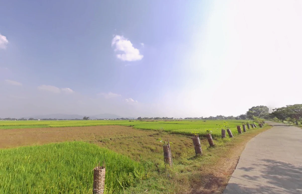 Nuagaon, Odisha 759141, India