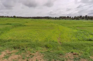 Heggadadevankote, Karnataka 571114, India preview 3