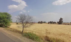 Duttapukur, Gangapur, West Bengal 743248, India preview 3