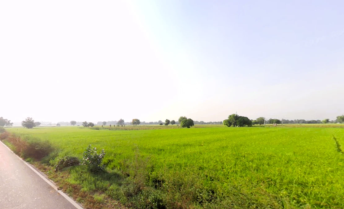 Umedpura, Haryana 125055, India