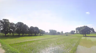 Khyalipur, Uttar Pradesh 244235, India preview 2