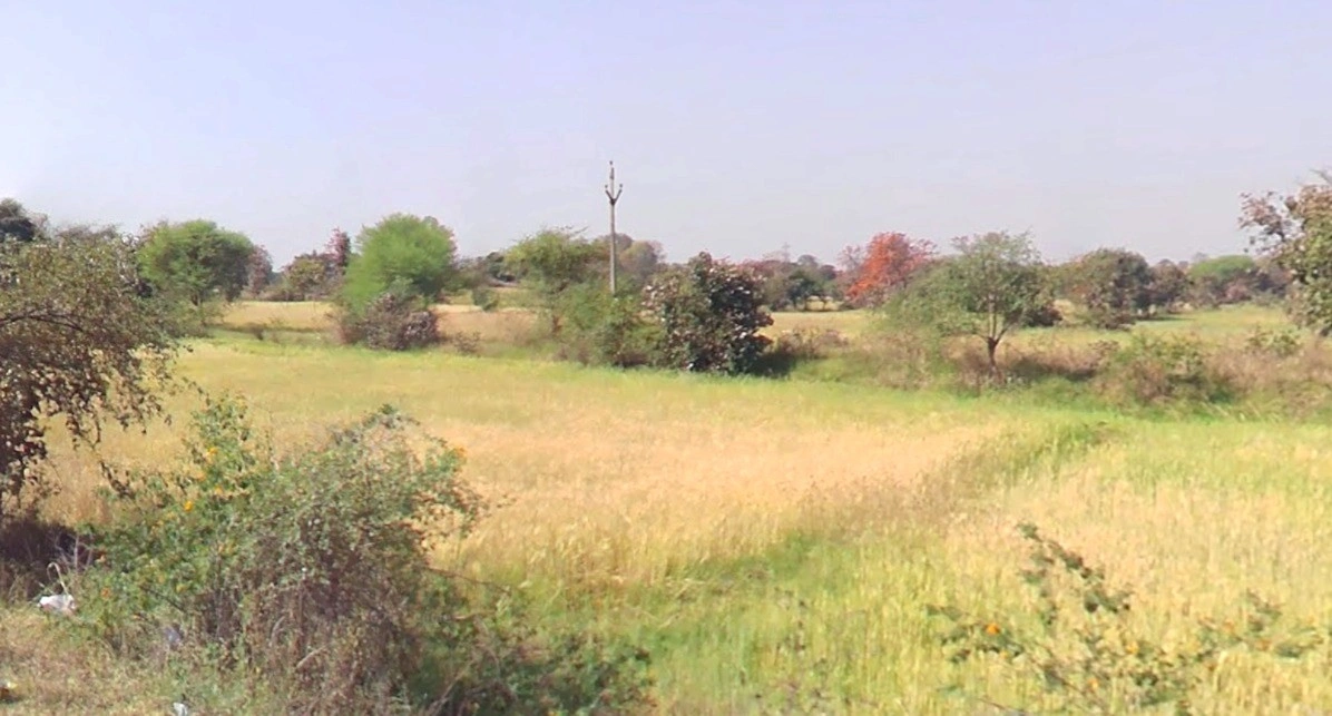 4528+6R4, Pahadi Kheda, Madhya Pradesh, India
