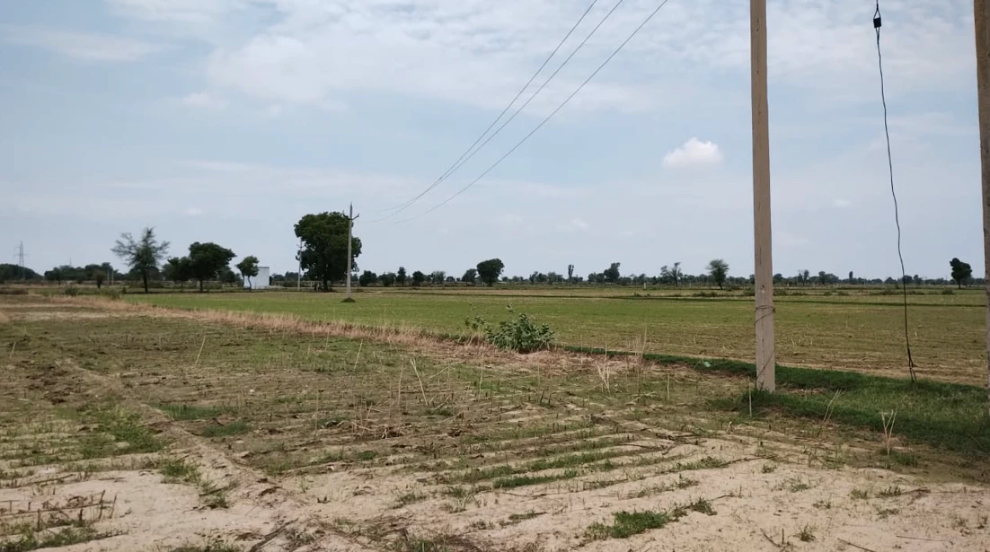Barnagar, Madhya Pradesh 456771, India