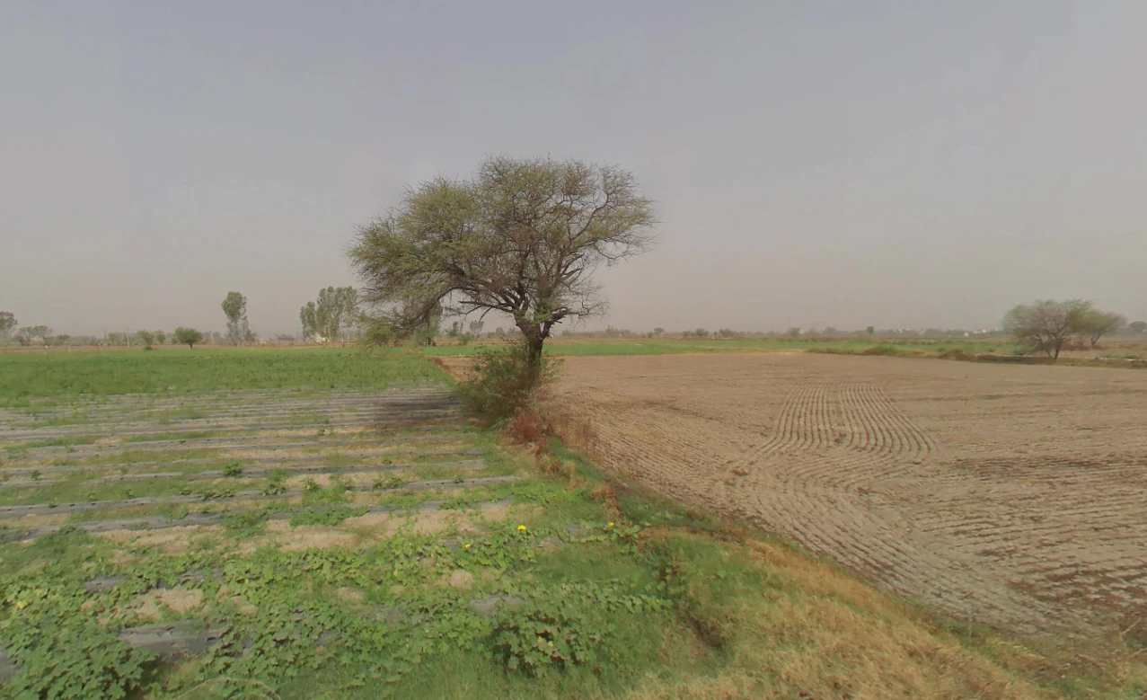 Faridpur, Haryana 122504, India
