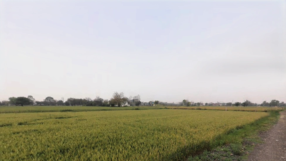 Mirzapur, Sector 74, Faridabad, Haryana 121006, India