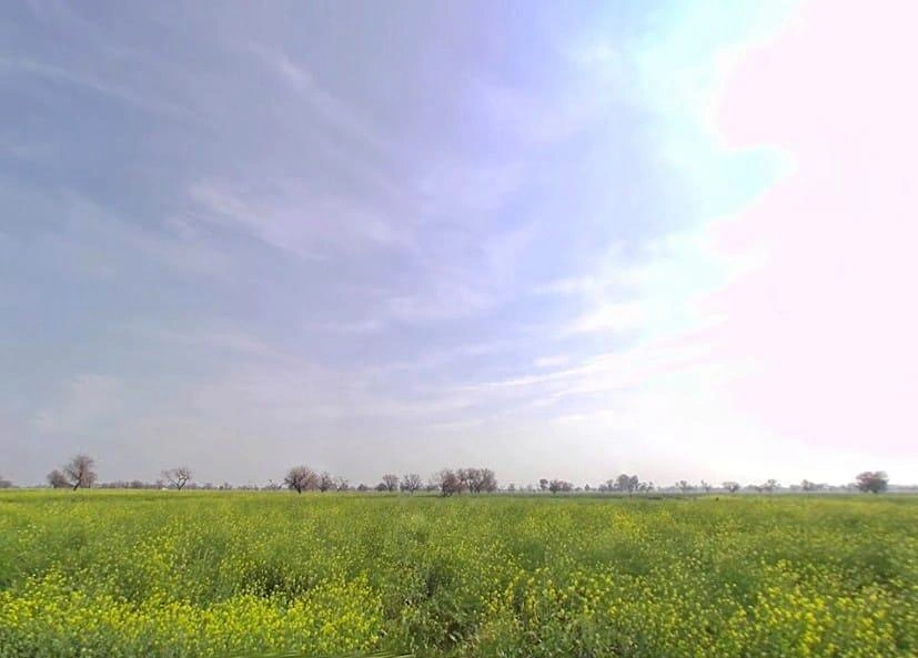 Khudiyana, Rajasthan 321607, India