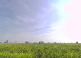 Khudiyana, Rajasthan 321607, India preview 2