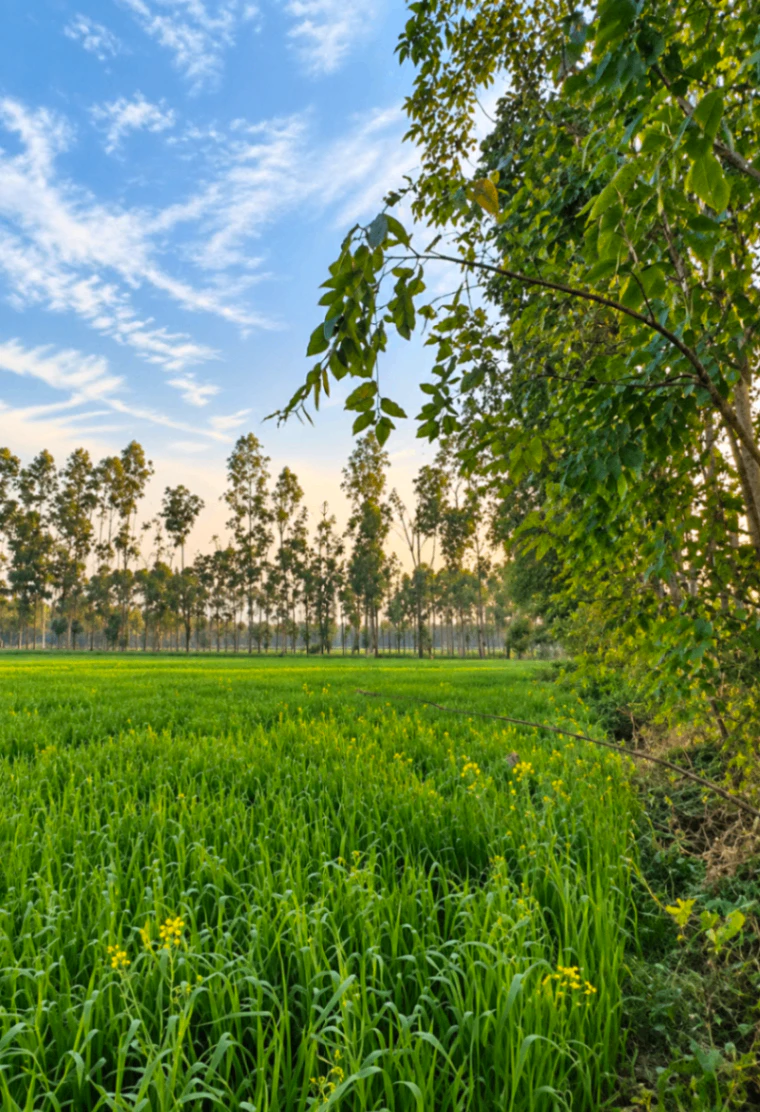 Kunjpur, Unnao, Uttar Pradesh, India