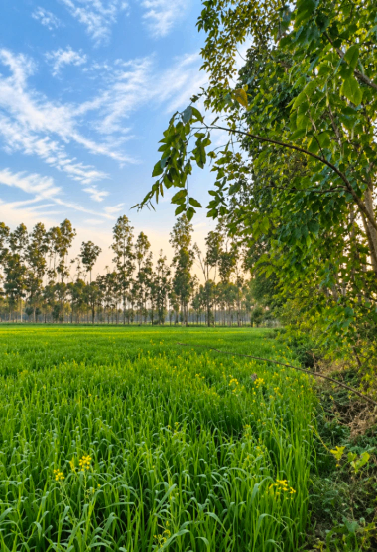 Kunjpur, Unnao, Uttar Pradesh, India - Photo 1