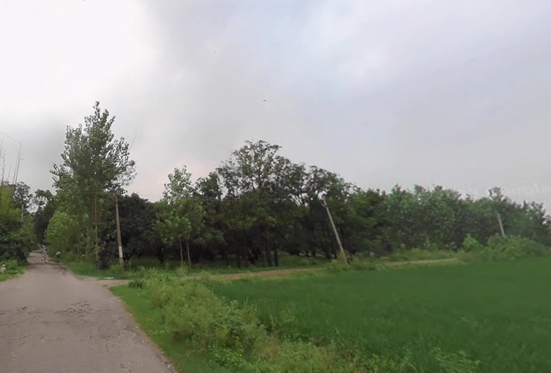 Behat Dehat, Uttar Pradesh 247121, India