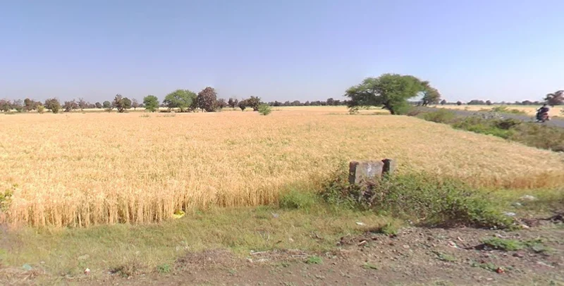 Gondiya, Madhya Pradesh 456006, India preview 3