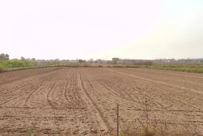 Baraut, Uttar Pradesh 250611, India