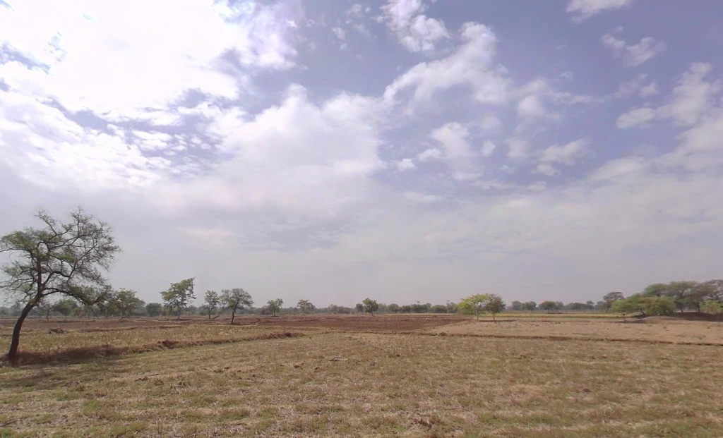 Bhothli, Chhattisgarh 491443, India