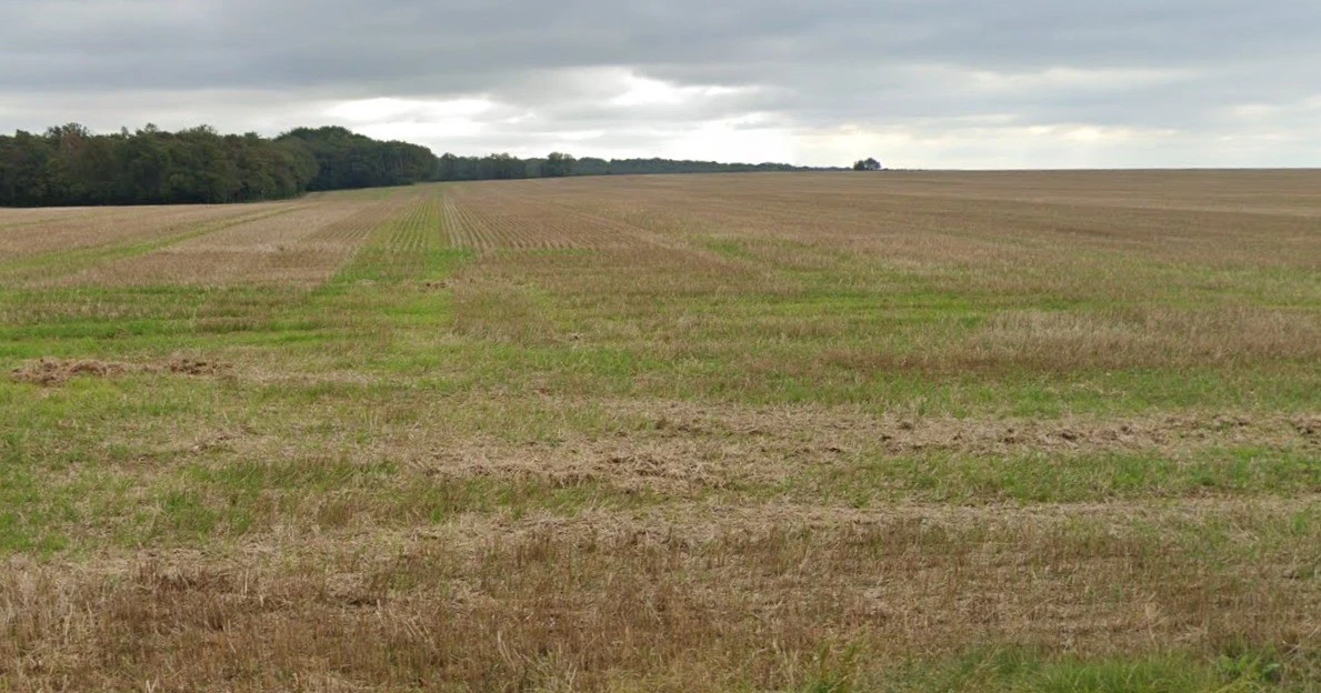 X34M+83C, Dewas, Madhya Pradesh 455001, India