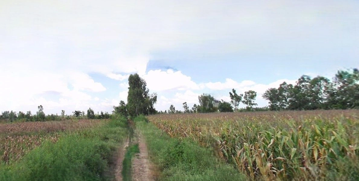 Rampur Maniharan, Uttar Pradesh 247451, India preview 2