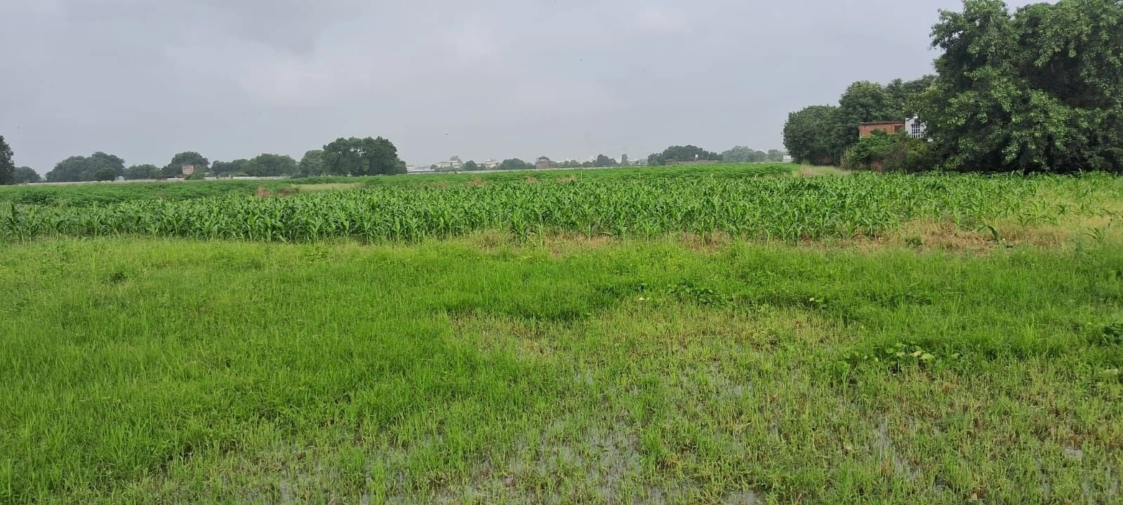 Narwal, Kanpur Nagar, Uttar Pradesh 209401, India