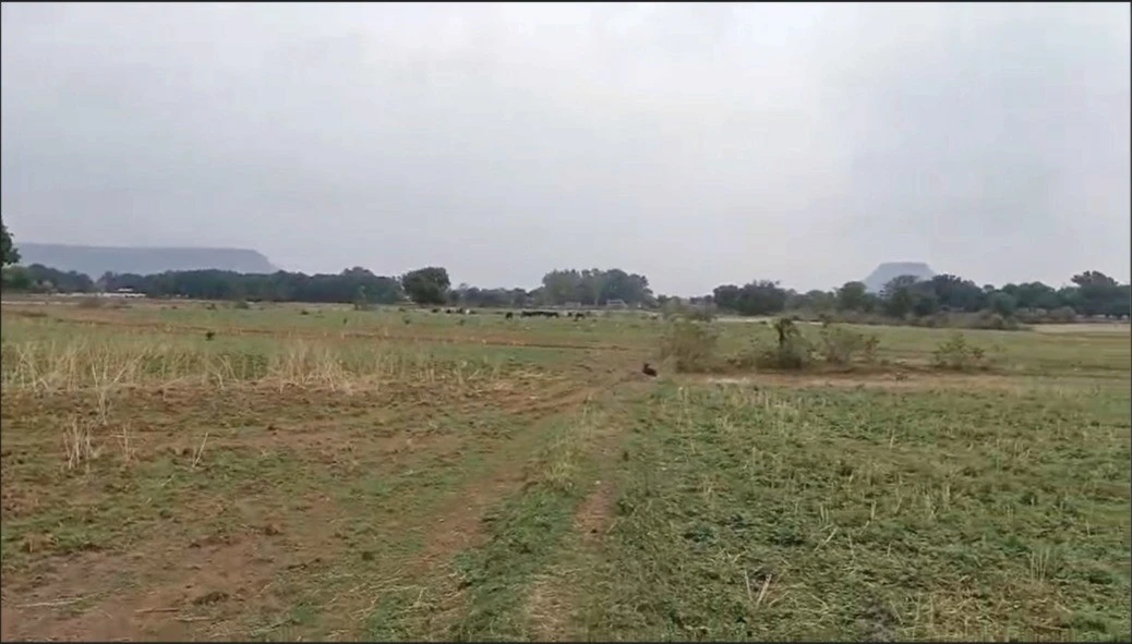 Uchera, Madhya Pradesh 464881, India