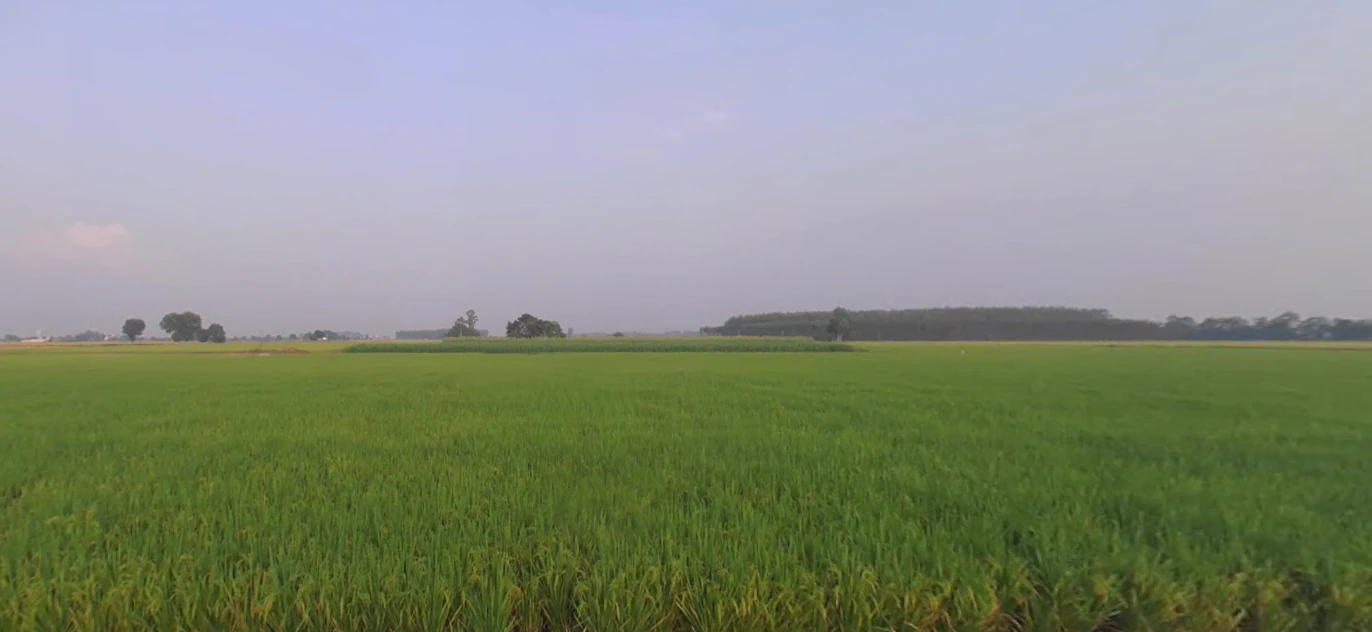 Ludhiana, Punjab, India