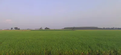 Ludhiana, Punjab, India preview 3