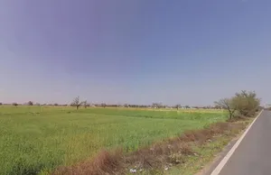 Ramgarh, Rajasthan 301026, India preview 2