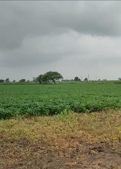Rampur, Rewa, Madhya Pradesh 486440, India preview 3
