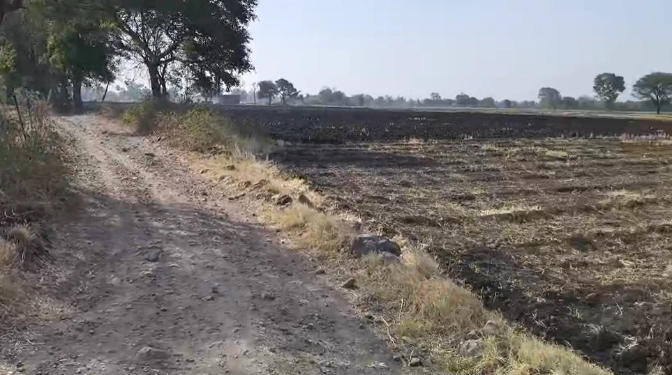 8RG6+GG5, Lakhaheda, Madhya Pradesh, India