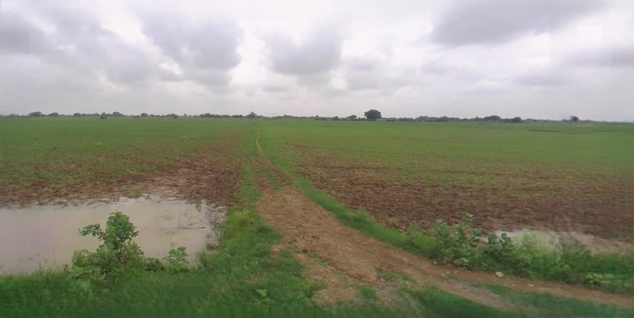 Unnao, Uttar Pradesh, India