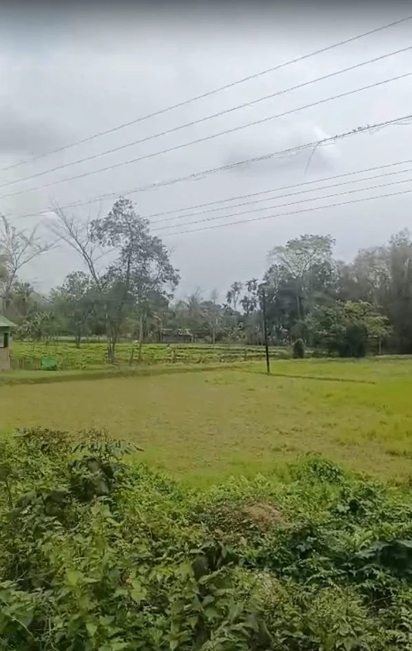 Borua Bali, Assam, India