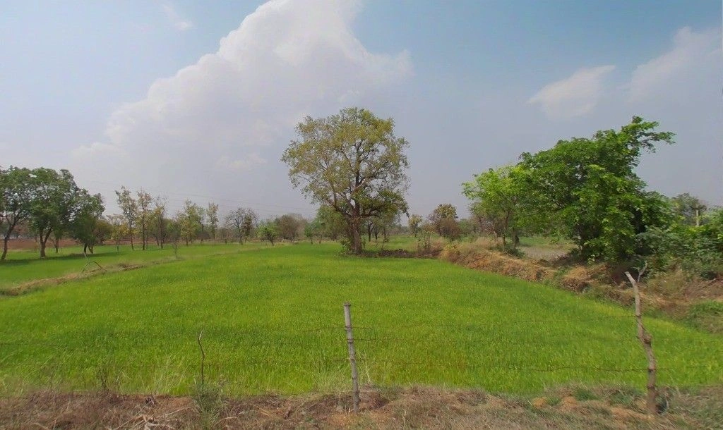 Railway Colony, Dongargarh, Chhattisgarh 491445, India